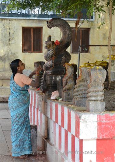 Meenakshi Temple, Madurai,_DSC_8071_H600